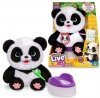 Cobi Maskotka interaktywna Little Live Pets Panda